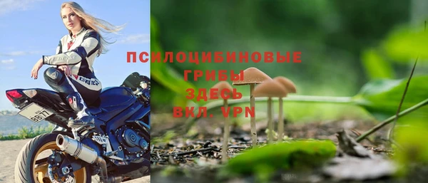 альфа пвп Елизово