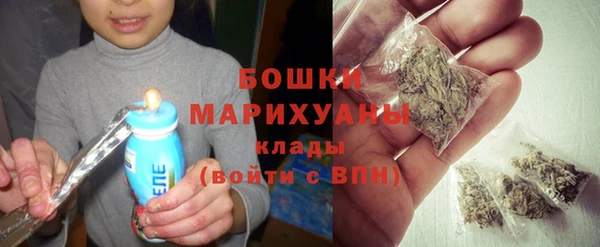 альфа пвп Елизово