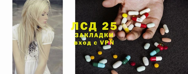 мескалин Ельня